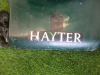 Hayter Harrier 56 Petrol Lawnmower. NOTE: requires service, unable to start - 2