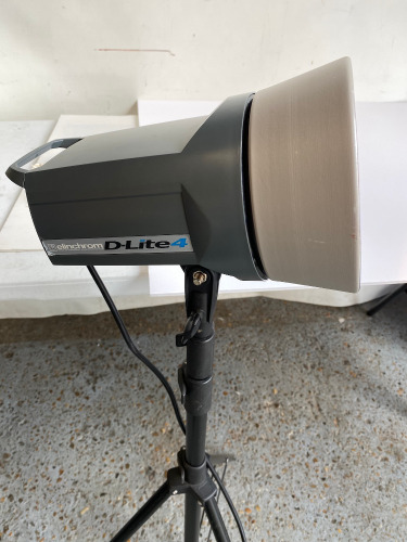 Elinchrom D-Lite 4 Photography Light on Stand.