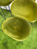 6 x SABA Ola Italian Made Green Velvet Upholstered Bar Stool on Black Metal Base. Size 76cm. NOTE: 2 x appear bleach stain (As Viewed/Pictured). - 4