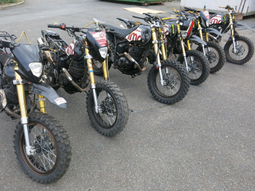 6 x Lexmoto Pulse 125cc 4 Stroke Motorbikes. NOTE: sold for spares or repair.