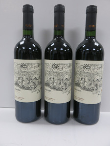 3 x Bottles of Ayni Malbec Red Wine, 2019, 750ml.