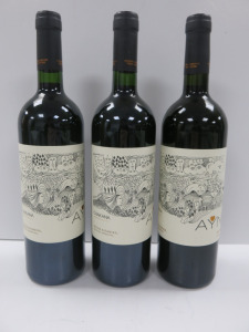 3 x Bottles of Ayni Malbec Red Wine, 2019, 750ml.