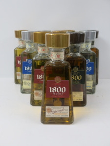 10 x Bottles of 1800 Tequila to Include: 3 x Blanco, 2 x Anejo & 5 x Reposado, 700ml.