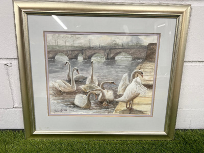 Watercolour Swan Painting, Framed in Champagne Gold & Glazed, Signed John Butler 2000. Size H55cm x W64cm.