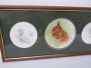 Framed & Glazed Picture & Sketches of Squirrels. Size H32 x W71cm - 2