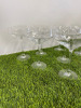 38 x Chef & Sommelier Champagne Coupe Glasses. - 3