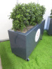 Pair of Artificial Boxwood Plants in Grey Mobile Planters. Size of Planter H60 x W100 x D35cm, Overall Height with Plants 100cm. - 2