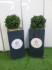 Pair of Artificial Boxwood Plants in Grey Mobile Planters. Size of Planter H90 x W40 x D40cm, Overall Height with Plants 125cm