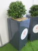 Pair of Artificial Boxwood Plants in Grey Mobile Planters. Size of Planter H90 x W40 x D40cm, Overall Height with Plants 125cm - 2