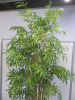 Large Artificial Bamboo Plant, Size of Planter H73cm. Overall Height with Plants 225cm. - 3