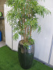 Large Artificial Bamboo Plant, Size of Planter H73cm. Overall Height with Plants 225cm. - 6