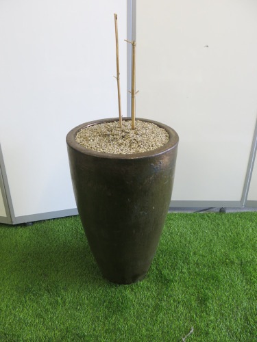 Glazed Planter with Remains of Bamboo Plant. Size of Planter H70cm. NOTE: planter top has been resin filled and has cracks to pot.