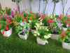 Quantity of Restaurant Table Top Artificial Plants & Flowers to Include: 22 x Small & 9 x Glass Vase3s with an Assortment of artificial Plants/Flowers. - 9