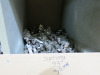 Rack Containing Large Quantity of Sprung, Unsprung & Soft Close, 110 Degree Cabinet Hinges. - 5