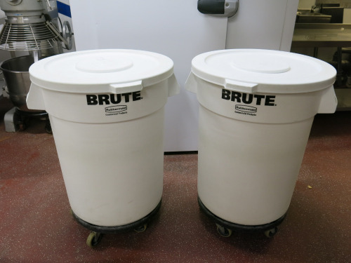 2 x Rubbermaid Brute Bins on Mobile Wheels.