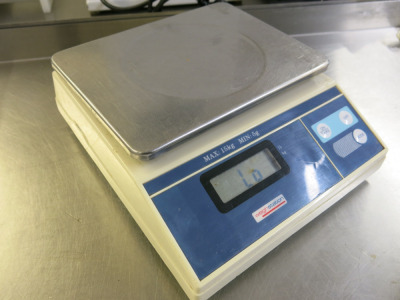 WeighStation Digital Scales, Model F178, Max 15kg.
