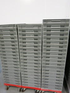 58 x Allibert 21014 Hard Plastic Trays. Size H6 x W40 x L60cm.