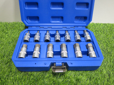 Condor Werkzeug Industrial Quality Chrome Vanadium Steel 13 Pcs Socket Bit Set, Hex 5-22mm, 1/2" Sq Drive. Comes in Plastic Carry Case.