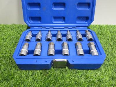Condor Werkzeug Industrial Quality Chrome Vanadium Steel 13 Pcs Socket Bit Set, Hex 5-22mm, 1/2" Sq Drive. Comes in Plastic Carry Case.