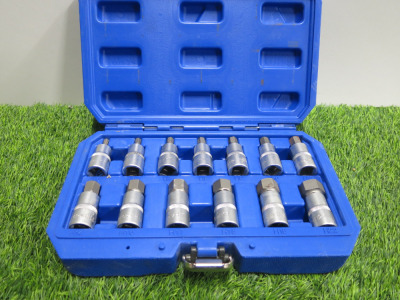 Condor Werkzeug Industrial Quality Chrome Vanadium Steel 13 Pcs Socket Bit Set, Hex 5-22mm, 1/2" Sq Drive. Comes in Plastic Carry Case.
