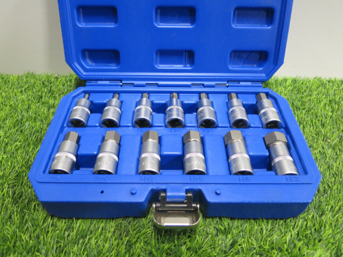 Condor Werkzeug Industrial Quality Chrome Vanadium Steel 13 Pcs Socket Bit Set, Hex 5-22mm, 1/2" Sq Drive. Comes in Plastic Carry Case.