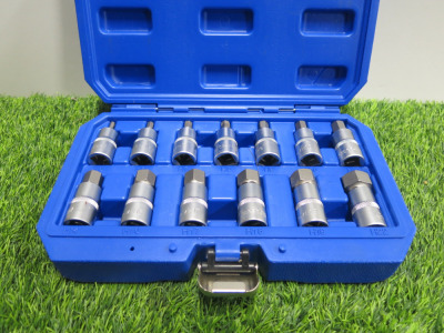 Condor Werkzeug Industrial Quality Chrome Vanadium Steel 13 Pcs Socket Bit Set, Hex 5-22mm, 1/2" Sq Drive. Comes in Plastic Carry Case.