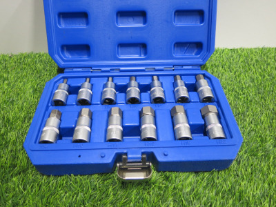 Condor Werkzeug Industrial Quality Chrome Vanadium Steel 13 Pcs Socket Bit Set, Hex 5-22mm, 1/2" Sq Drive. Comes in Plastic Carry Case.
