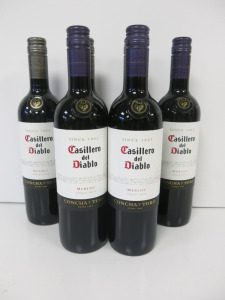 6 x Bottles of Casillero Del Diablo Red Wine to Include: 3 x Merlot 2023 & 3 x Malbec 2024, 750ml.