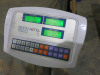Netta Platform Weighing Scales, Max 500kg. - 2