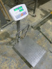 Netta Platform Weighing Scales, Max 500kg. - 3