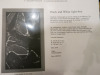 Black & White Lightbox. Size H132 x W80 x D7cm. - 5