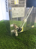Eauvation Table Top Water Dispenser, Model Acqua 80 T, S/N 1906012864. - 5