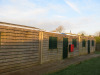 3 x 20ft Lined & Insulated, Cladded Site Containers/Cabins with Canteen, Changing Room & Store Room with Side Doors, Windows, 240v Power, Lighting & Sockets. Includes Contents of Changing Room & Canteen with Appliances, Tables, Chairs, Lockers Etc. (Exclu - 26