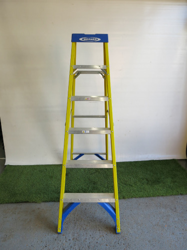 Werner 6 Tread Step Ladder.