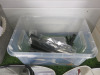 Quantity of Beauty Accessories to Include: 10 x Handheld Mirrors, 12 x Combs, 5 x Brushes, 9 x Hair Clips, 3 x Tissue Boxes, 4 x Containers, 7 x Stainless Steel Kidney Dishes & 12 x Assorted Sized Bowls. - 7