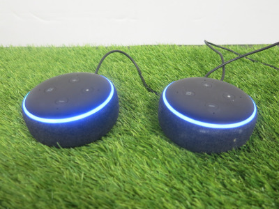 2 x Amazon Echo Dot, Model C78MP8. Comes with 1 Power Supply.