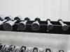 2 Tier Dumbbell Rack with 10 Pairs of Weights (No 2-10, missing 3) - 6