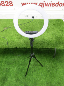 Neewer RL-18 LED Ring Light on Adjustable Tripod.