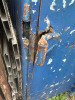 3 x 20ft Site Containers For Scrap or Repair. NOTE: 2 x containers have been vandalised with the door hinges being cut. NOTE: Location for viewing & collection BR2 7LB, by appointment only. - 7