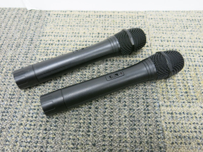 2 x Runze Wireless Microphones.
