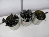 Large Lot of Assorted Cutlery to Include: 93 x Knives & 110 x Forks. - 2