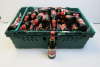 49 x Bottles of Mahou Especial Beer, 33cl.