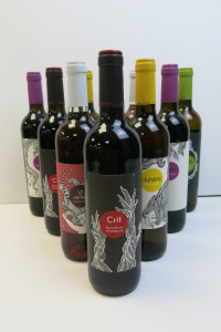 10 x Bottles of Dasca Vives White & Red Wines to Include: 2 x Xerric White Wine 2019, 2 x Llunatic White Wine 2020, 2 x Jovent Red Wine 2019, 2 x Crit Red Wine 2015 & 2 x Vi Vermell Red Wine 2019, 75cl.