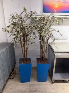 2 x Faux Plants, in Blue Pots.