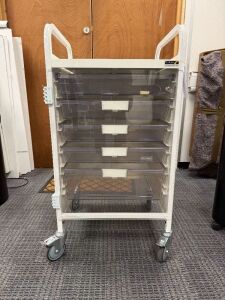 Sunflower Mobile Medical Multi Draw Cabinet with Clear Door. Size H100 x W52 x D50cm. NOTE: key snapped in lock.