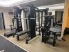 ON-LINE AUCTION- INFORMATION LOT ONLY: Contents of Luxury Private Gym, Health & Fitness Suite in Kensington, London, W8 - 12