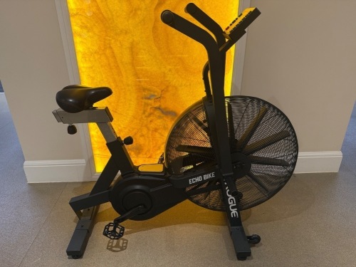 Rogue Echo Bike, DOM 2019.