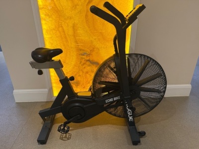 Rogue Echo Bike, DOM 2019.