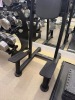 Atlantis Freestanding Dip/leg Raise, S/N 96506. - 2