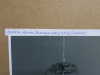 Impex Ceiling Light, TearDrop Pendant, Product Code IL0005. Bulb not Included. RRP &pound;90.00. - 2